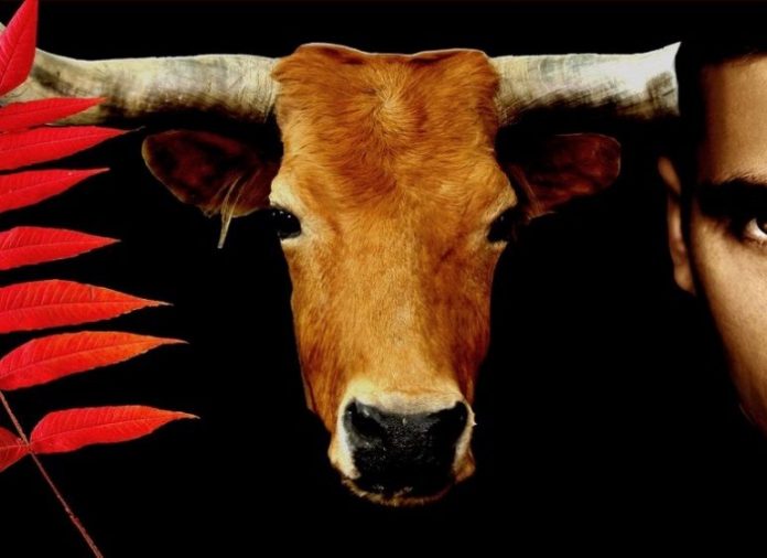 рейтинг документальных фильмов про животных. Смотреть фото рейтинг документальных фильмов про животных. Смотреть картинку рейтинг документальных фильмов про животных. Картинка про рейтинг документальных фильмов про животных. Фото рейтинг документальных фильмов про животных рейтинг документальных фильмов про животных. Смотреть фото рейтинг документальных фильмов про животных. Смотреть картинку рейтинг документальных фильмов про животных. Картинка про рейтинг документальных фильмов про животных. Фото рейтинг документальных фильмов про животных