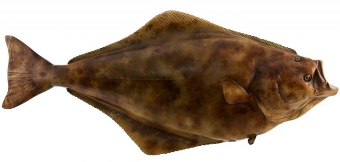 ΡΠ°ΠΌΠ°Ρ Π²ΠΊΡΡΠ½Π°Ρ ΠΌΠΎΡΡΠΊΠ°Ρ ΡΡΠ±Π° ΡΠ΅ΠΉΡΠΈΠ½Π³. Π‘ΠΌΠΎΡΡΠ΅ΡΡ ΡΠΎΡΠΎ ΡΠ°ΠΌΠ°Ρ Π²ΠΊΡΡΠ½Π°Ρ ΠΌΠΎΡΡΠΊΠ°Ρ ΡΡΠ±Π° ΡΠ΅ΠΉΡΠΈΠ½Π³. Π‘ΠΌΠΎΡΡΠ΅ΡΡ ΠΊΠ°ΡΡΠΈΠ½ΠΊΡ ΡΠ°ΠΌΠ°Ρ Π²ΠΊΡΡΠ½Π°Ρ ΠΌΠΎΡΡΠΊΠ°Ρ ΡΡΠ±Π° ΡΠ΅ΠΉΡΠΈΠ½Π³. ΠΠ°ΡΡΠΈΠ½ΠΊΠ° ΠΏΡΠΎ ΡΠ°ΠΌΠ°Ρ Π²ΠΊΡΡΠ½Π°Ρ ΠΌΠΎΡΡΠΊΠ°Ρ ΡΡΠ±Π° ΡΠ΅ΠΉΡΠΈΠ½Π³. Π€ΠΎΡΠΎ ΡΠ°ΠΌΠ°Ρ Π²ΠΊΡΡΠ½Π°Ρ ΠΌΠΎΡΡΠΊΠ°Ρ ΡΡΠ±Π° ΡΠ΅ΠΉΡΠΈΠ½Π³ ΡΠ°ΠΌΠ°Ρ Π²ΠΊΡΡΠ½Π°Ρ ΠΌΠΎΡΡΠΊΠ°Ρ ΡΡΠ±Π° ΡΠ΅ΠΉΡΠΈΠ½Π³. Π‘ΠΌΠΎΡΡΠ΅ΡΡ ΡΠΎΡΠΎ ΡΠ°ΠΌΠ°Ρ Π²ΠΊΡΡΠ½Π°Ρ ΠΌΠΎΡΡΠΊΠ°Ρ ΡΡΠ±Π° ΡΠ΅ΠΉΡΠΈΠ½Π³. Π‘ΠΌΠΎΡΡΠ΅ΡΡ ΠΊΠ°ΡΡΠΈΠ½ΠΊΡ ΡΠ°ΠΌΠ°Ρ Π²ΠΊΡΡΠ½Π°Ρ ΠΌΠΎΡΡΠΊΠ°Ρ ΡΡΠ±Π° ΡΠ΅ΠΉΡΠΈΠ½Π³. ΠΠ°ΡΡΠΈΠ½ΠΊΠ° ΠΏΡΠΎ ΡΠ°ΠΌΠ°Ρ Π²ΠΊΡΡΠ½Π°Ρ ΠΌΠΎΡΡΠΊΠ°Ρ ΡΡΠ±Π° ΡΠ΅ΠΉΡΠΈΠ½Π³. Π€ΠΎΡΠΎ ΡΠ°ΠΌΠ°Ρ Π²ΠΊΡΡΠ½Π°Ρ ΠΌΠΎΡΡΠΊΠ°Ρ ΡΡΠ±Π° ΡΠ΅ΠΉΡΠΈΠ½Π³