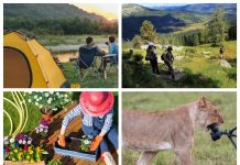 Топ 10 хобби для любителей природы