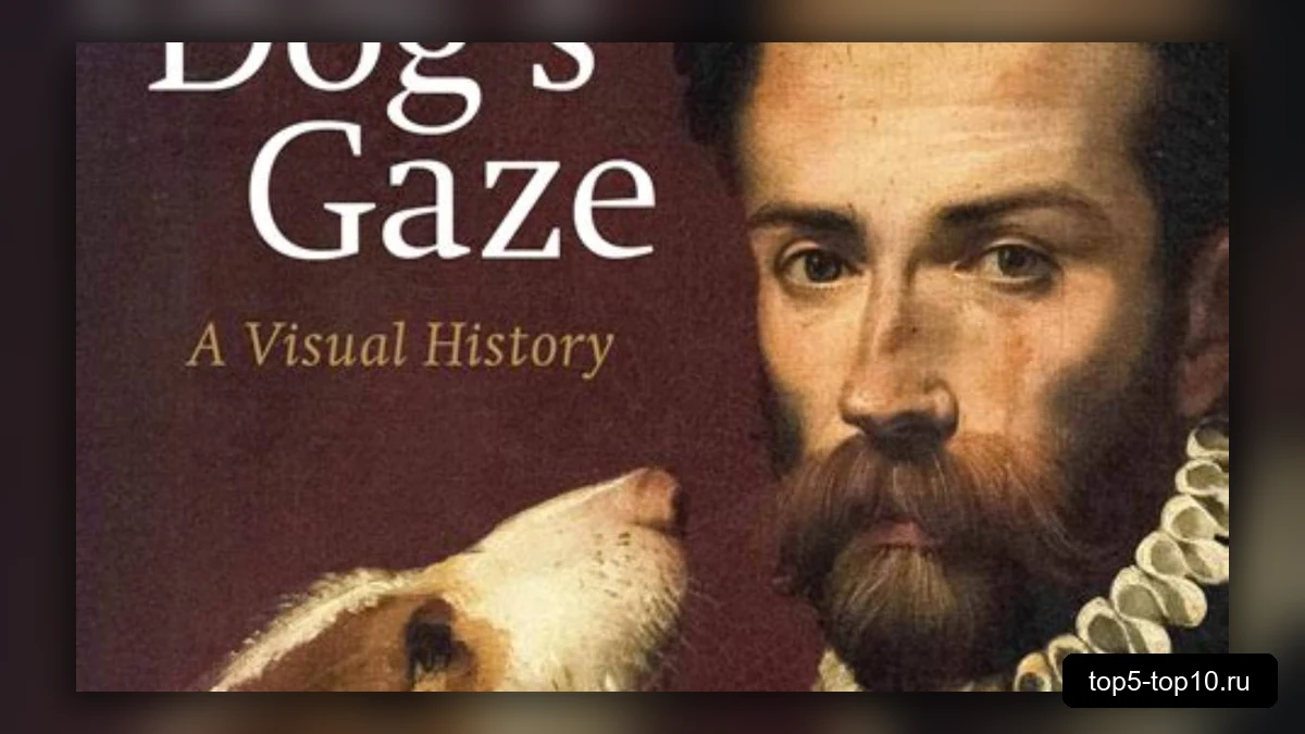 Книга The Dog’s Gaze